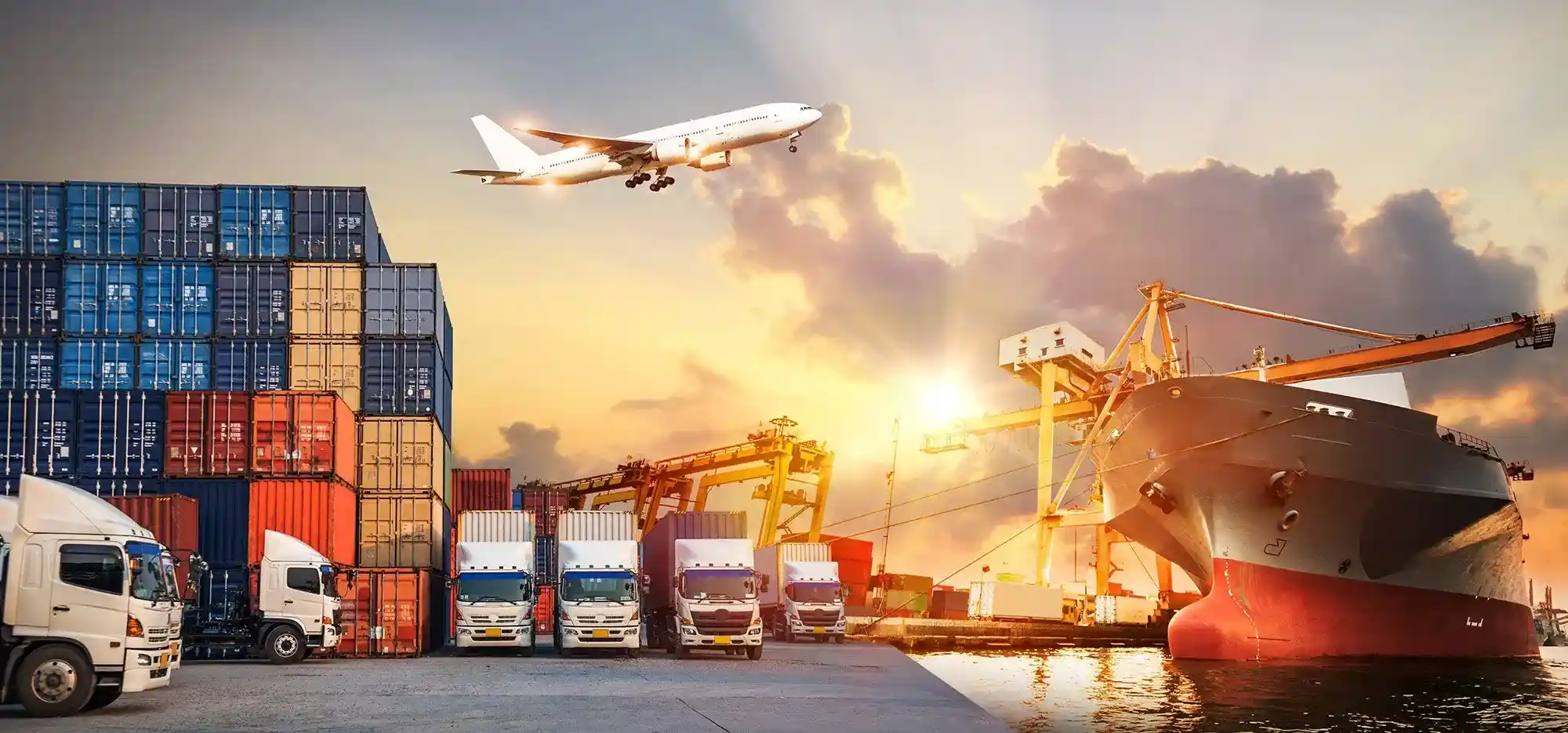 Freight Forwarder Image